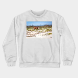 Wild Horses at Cumberland Island National Seashore Crewneck Sweatshirt